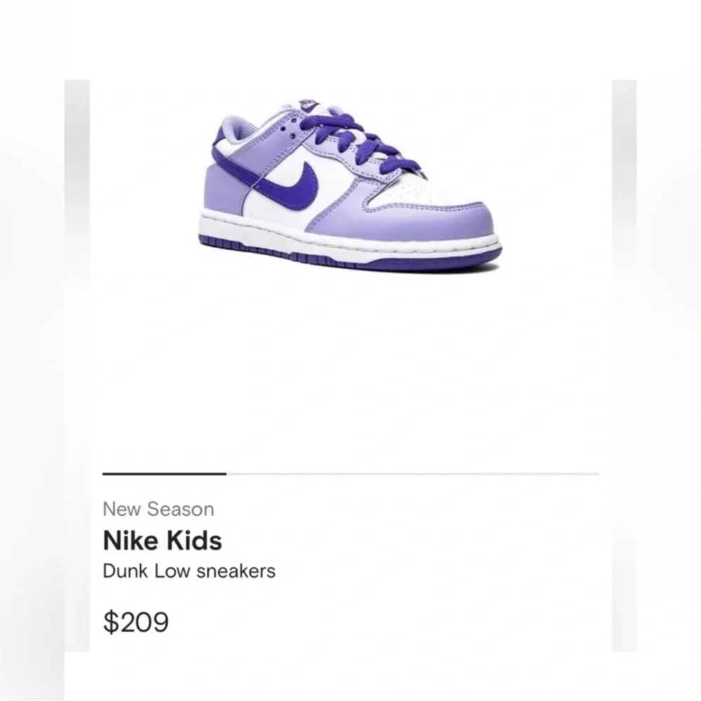 Nike Sbeakers - Blueberry